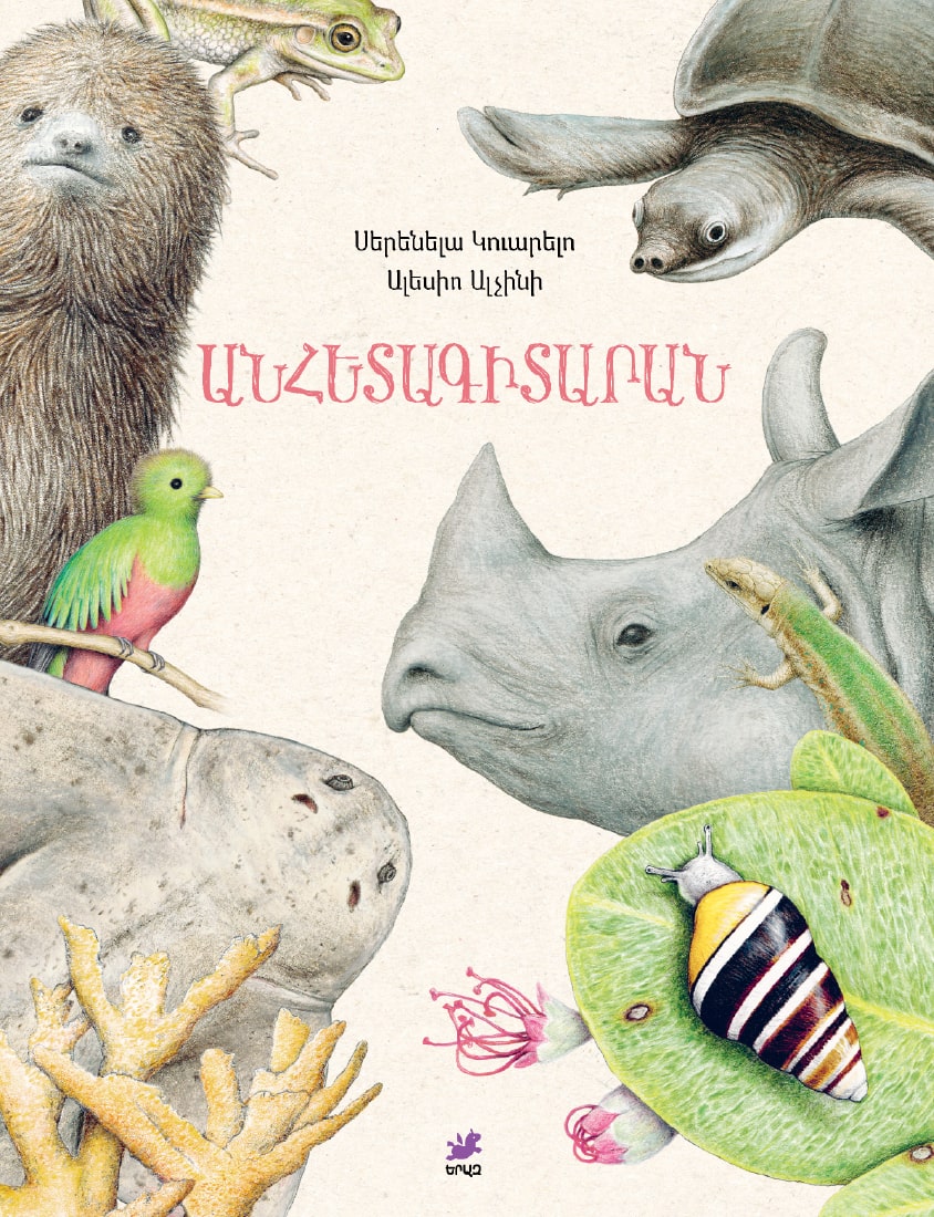 image book